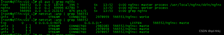 银河麒麟v10sp2安装nginx