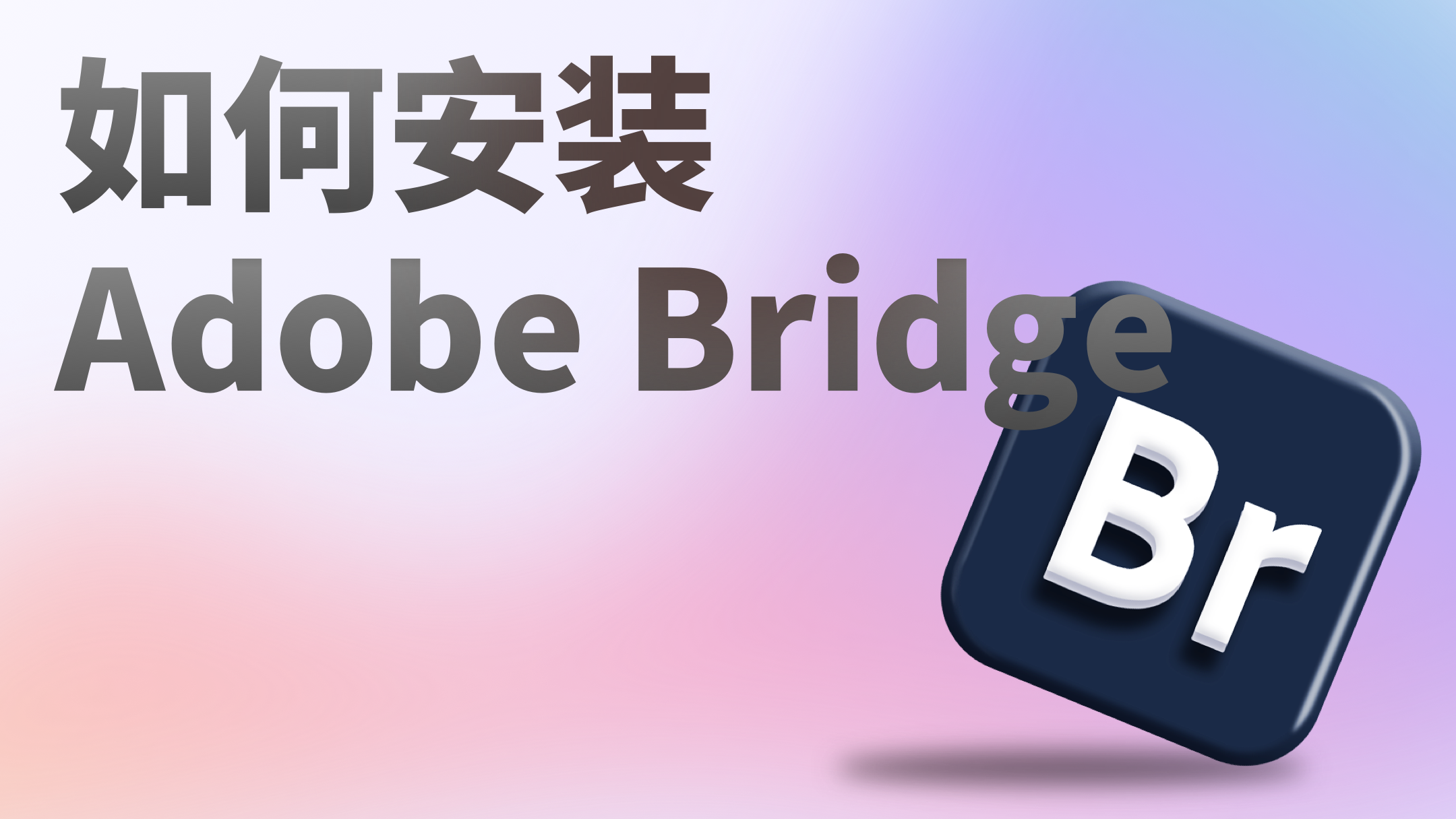 如何用Adobe Bridge进行单键评级和标签_bridge怎么评分-CSDN博客