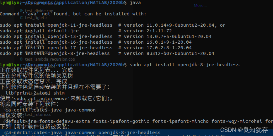ubuntu下matlab安装问题解决# A fatal error has been detected by the Java ...