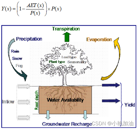 基于plus模型 invest模型 生态系统服务多情景模拟预测