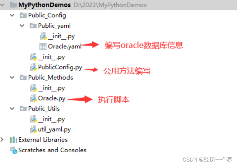 Python优雅地操作Oracle数据库_python oracledb-CSDN博客