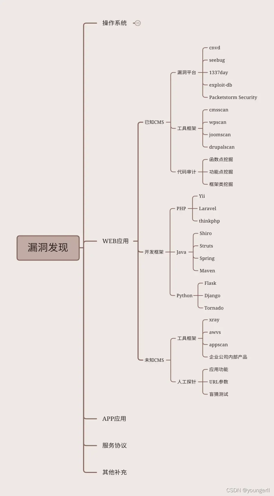 漏洞发现