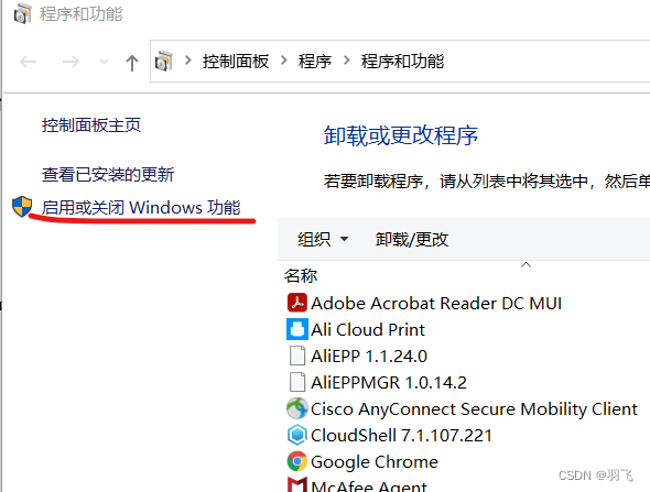 Windows 程序和功能