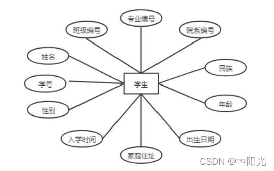 学生实体属性图