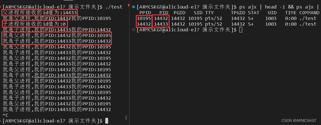 fork演示代码运行