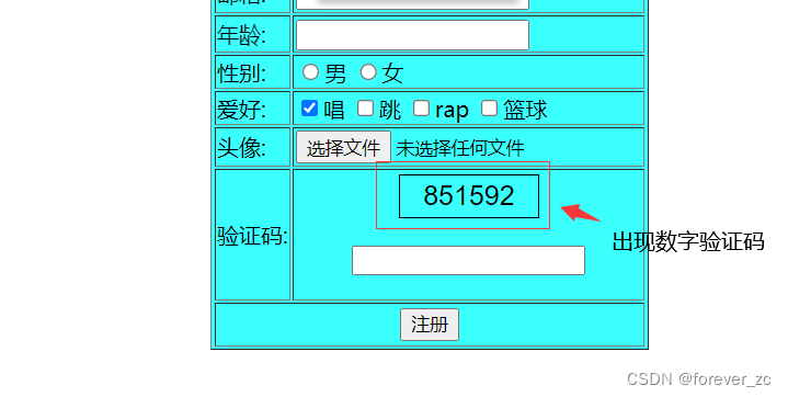 js案例---验证码