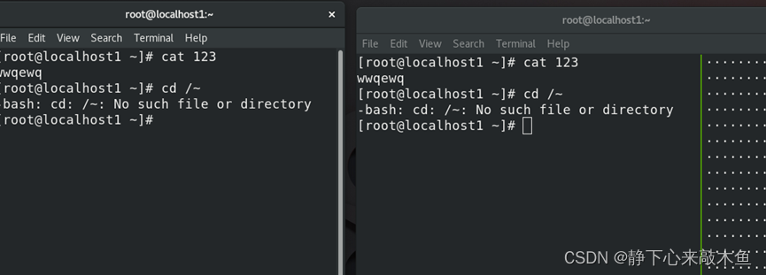 Linux 终端复用器Tmux_tmux 面板 命名-CSDN博客