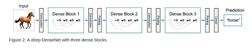 DenseNet网络结构