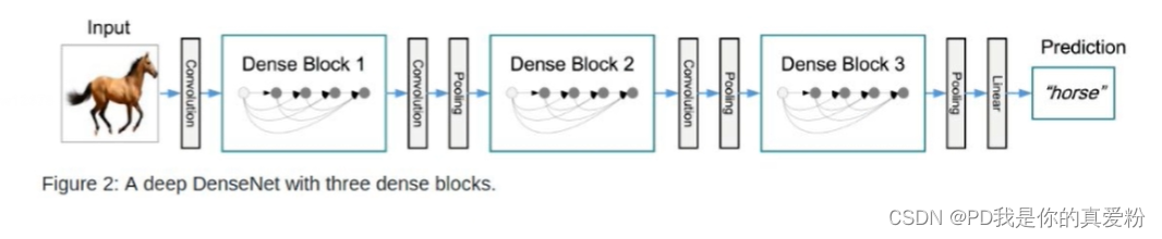 DenseNet网络结构