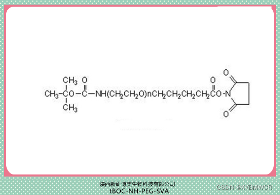 供应试剂tBOC-NH-PEG-SVA，甲酸叔丁酯-亚氨基-PEG-琥珀酰亚胺戊酸酯