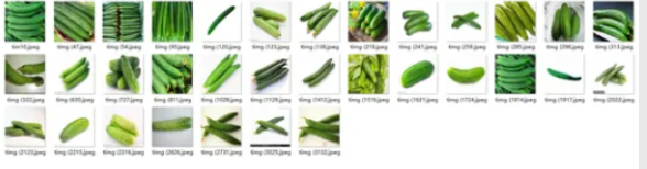 AI：60-基于深度学习的瓜果蔬菜分类识别