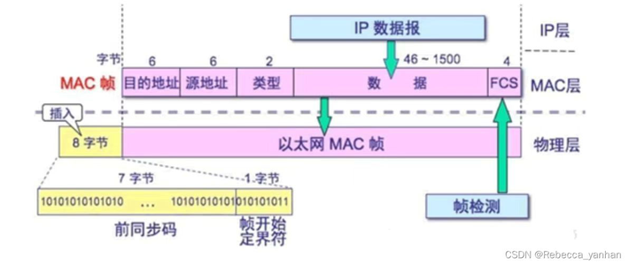 以太网帧、IP数据报的图解格式（包含相关例题讲解，一题足够）_以太网帧格式