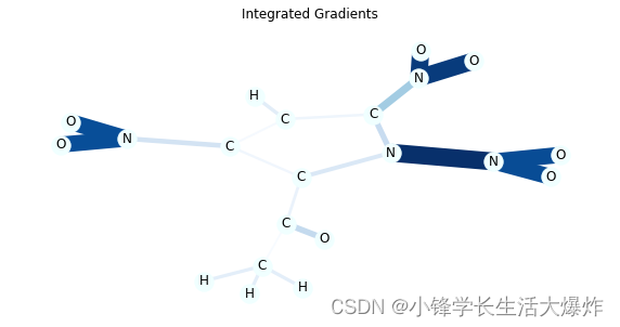 【教程】使用 Captum 解释 GNN 模型预测