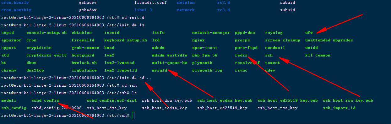Linux各目录及每个目录的详细介绍_usr local lib在哪-CSDN博客