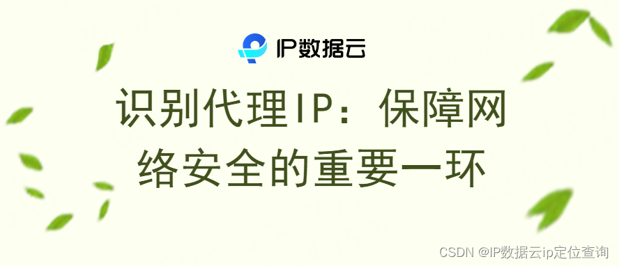 识别代理IP：保障网络安全的重要一环