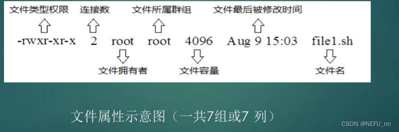 第三节课 Linux文件权限