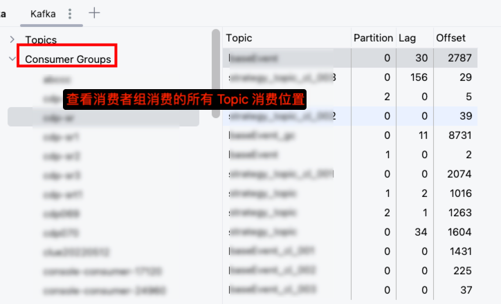 消费者组视图