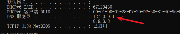 关于DNS服务器地址总是127.0.0.1且无法解析域名地址