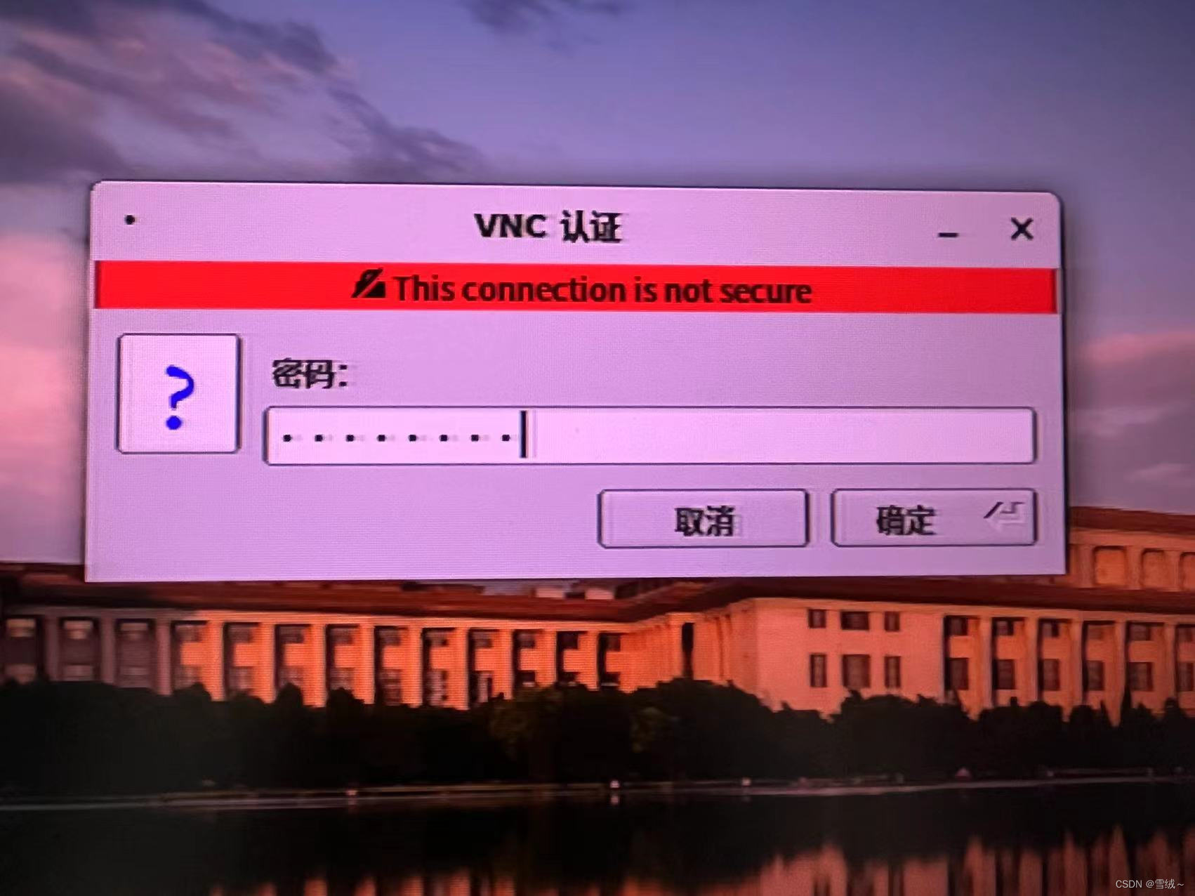 输入VNC连接密码