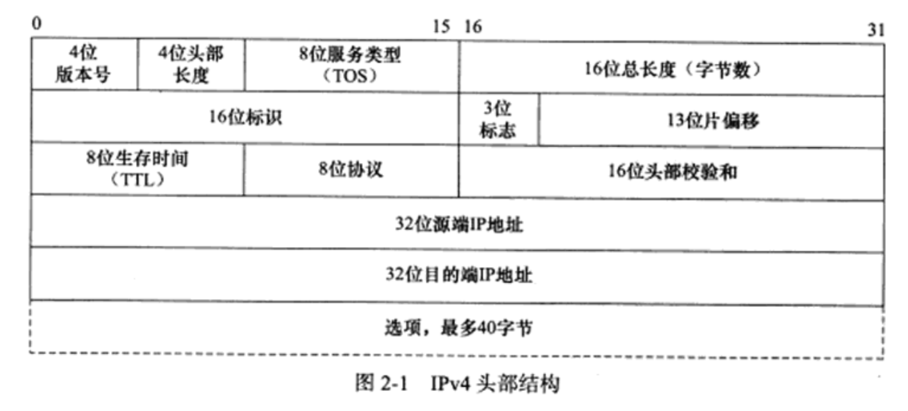 IP数据报头部