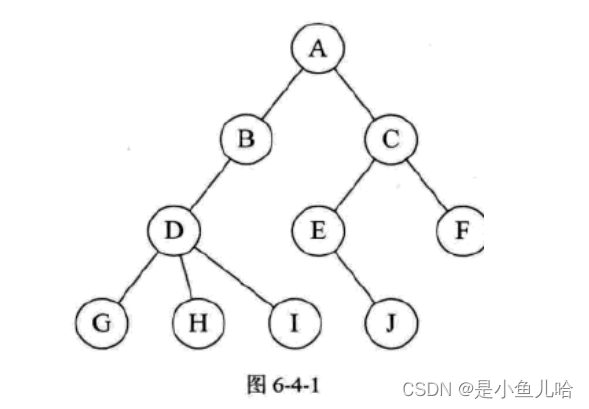 《Java数据结构》这些树和二叉树的性质你还记得吗？