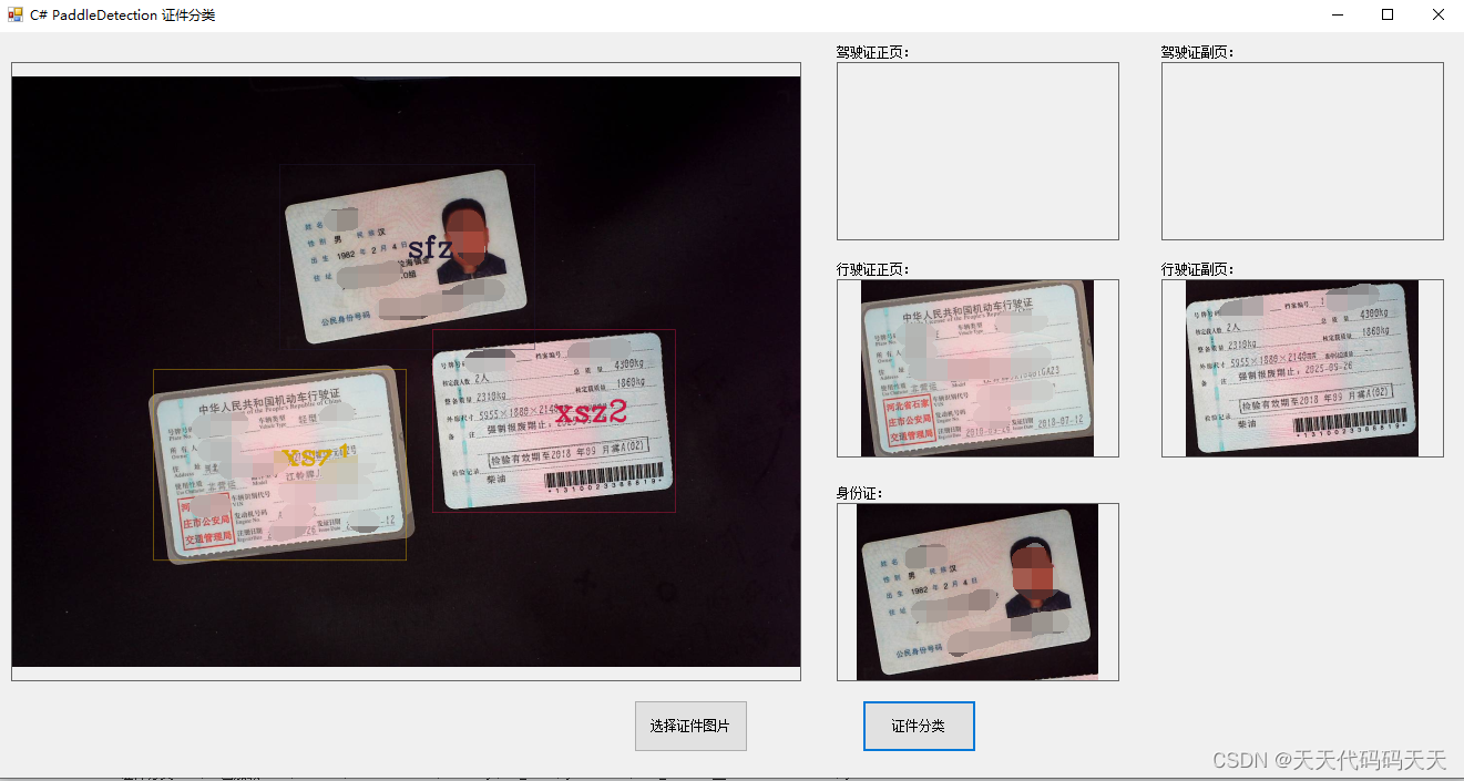 C# PaddleDetection 证件分类 驾驶证、行驶证、身份证分类