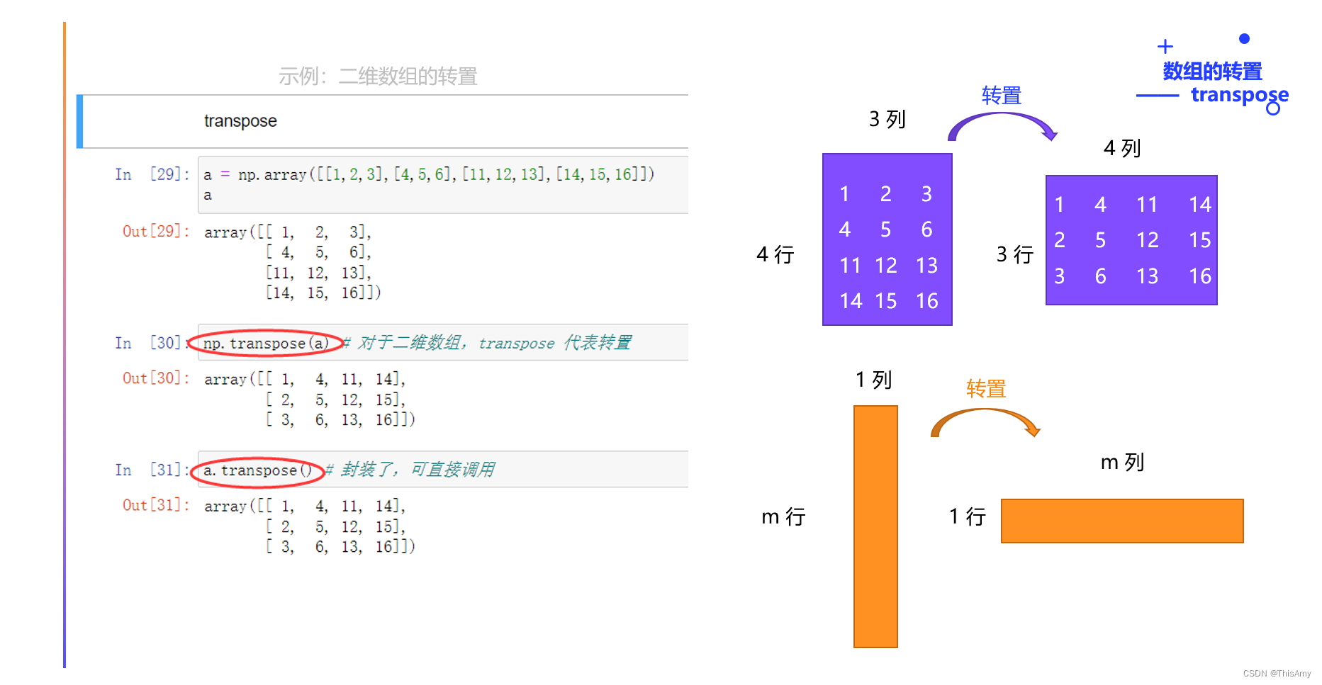 图-transpose转置