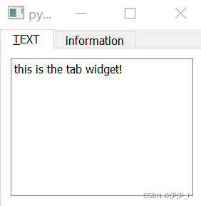 le widget qtextedit pyqt5 python – très facile... PyQt5之Tab Widget 标签样式_酷炫的pyqt5标签样式-CSDN博客