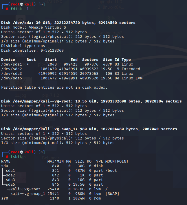 再次查看磁盘的信息