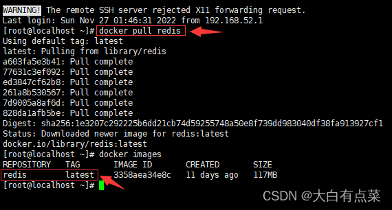 拉取最新的Redis镜像