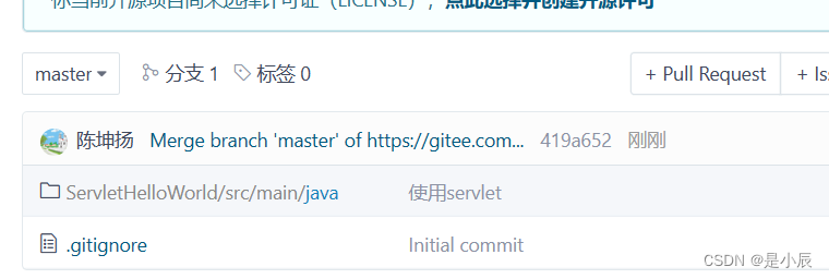 【Git】idea提交项目到Gitee