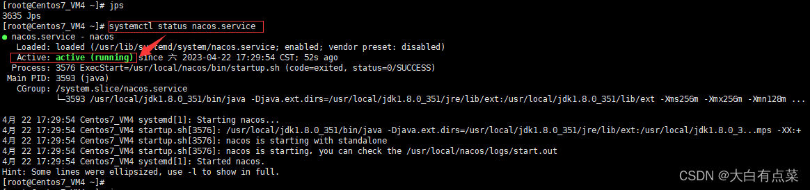 使用 systemctl status nacos.service 查看 Nacos Server 服务运行状态。