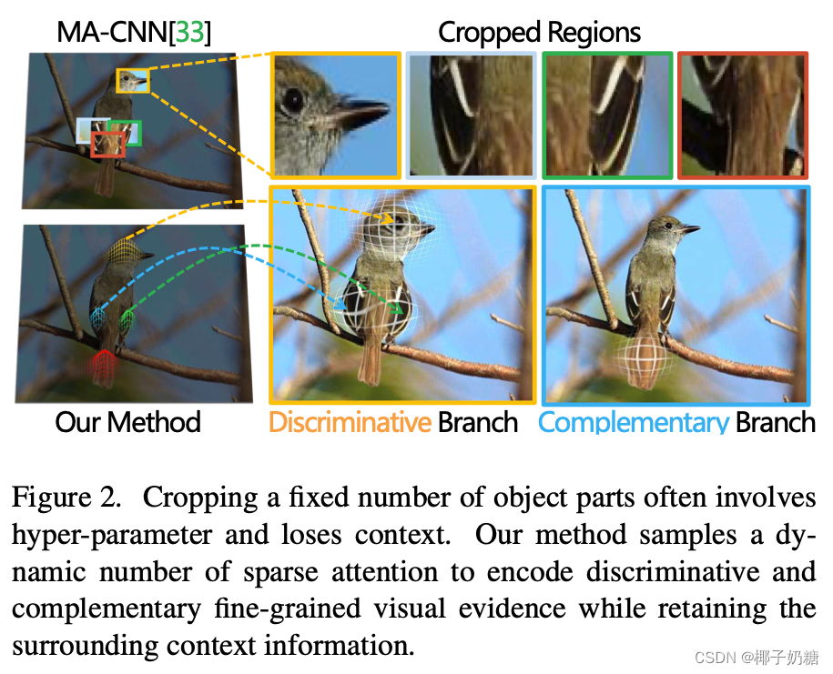 Selective Sparse Sampling for Finegrained Image RecognitionCSDN博客