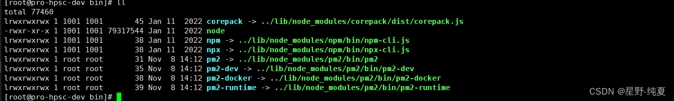 在我们下载的node包中查看是否pm2已经安装好