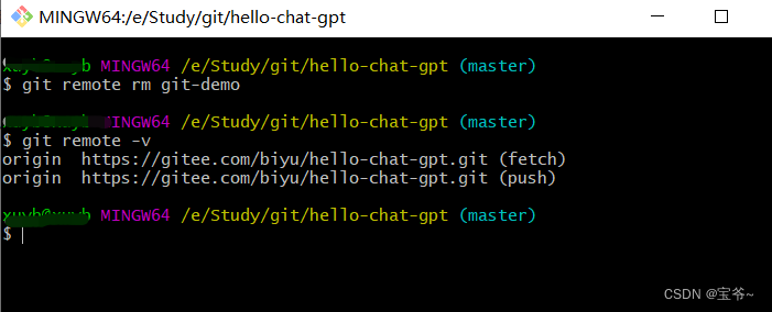 【Git 入门教程】第五节、Git远程仓库