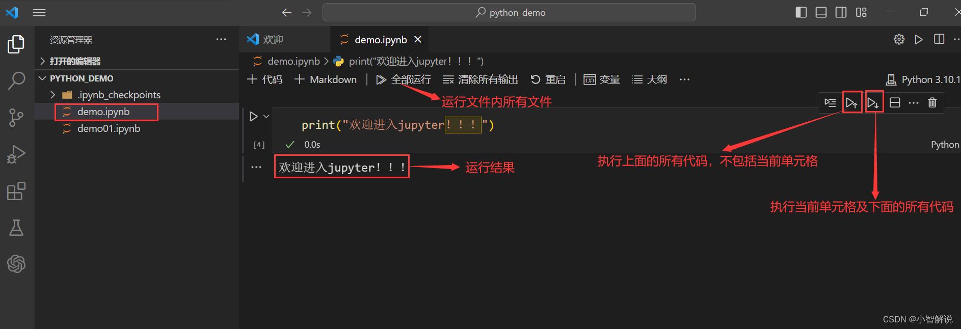 Jupyter Notebook 安装与使用教程