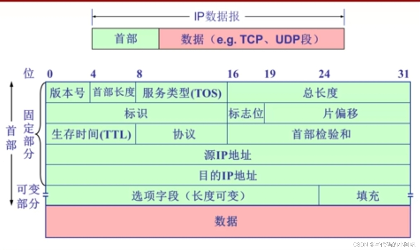 IP数据报格式