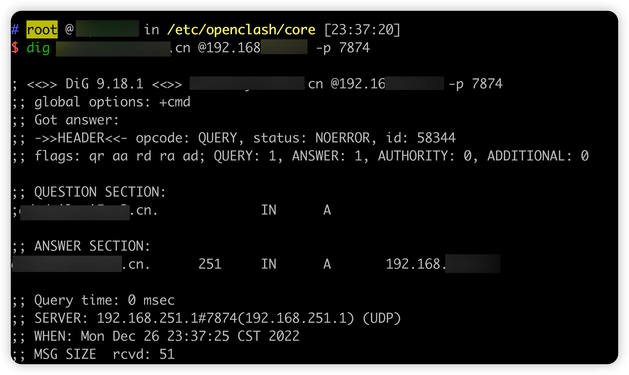 【BUG FIX】Dnsmasq针对本地域名无法解析_dnsmasq dnsdomainname host name lookup