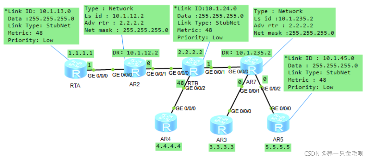 OSPF的Router-LSA和Network-LSA_router lsa字段-CSDN博客