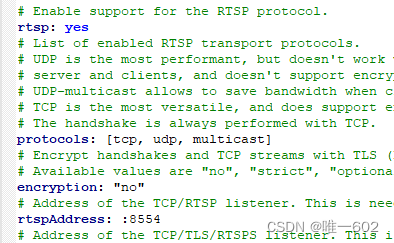 rtsp