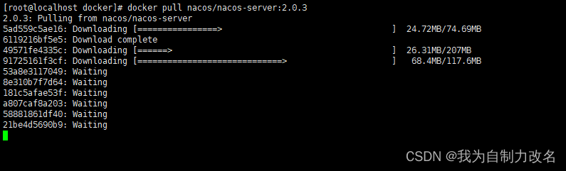 Docker部署Nacos