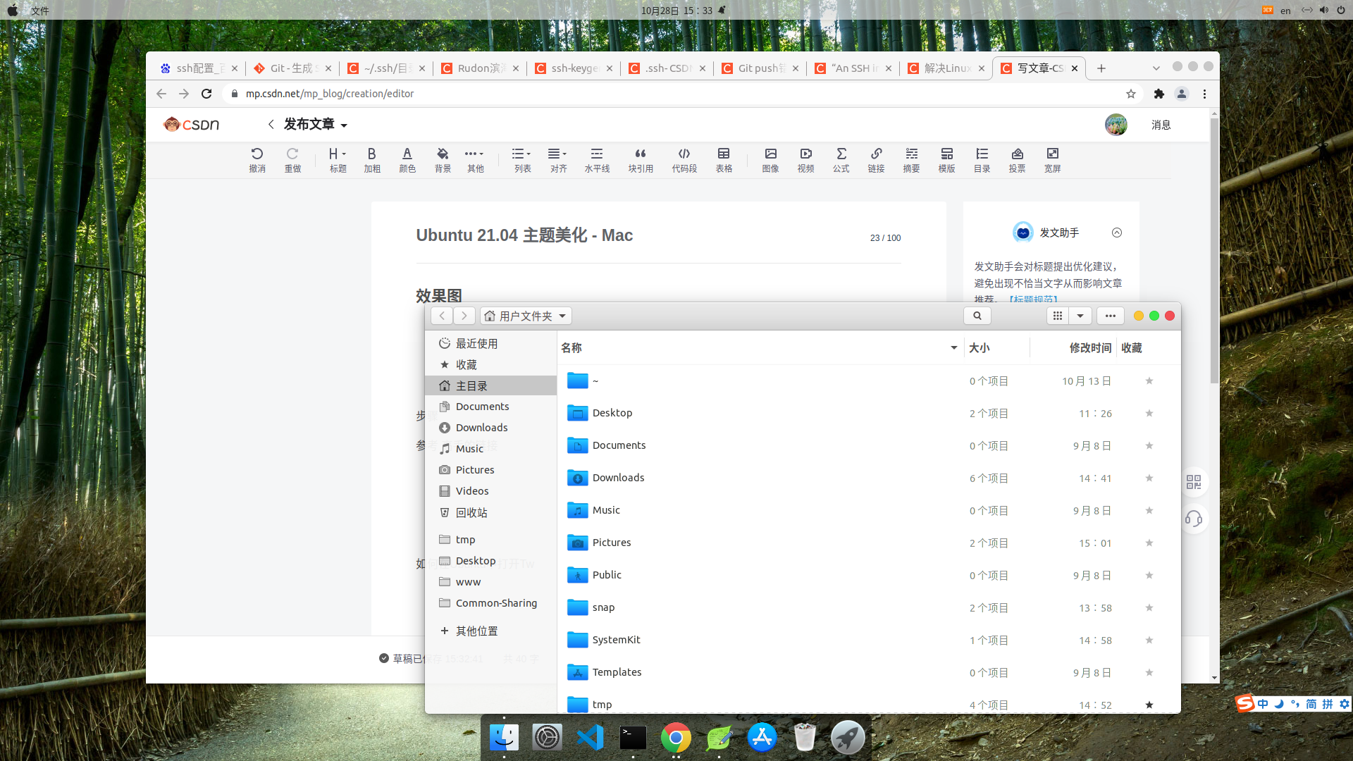 Ubuntu 21.04 主题美化 - Mac_ubuntu mac美化 csdn-CSDN博客