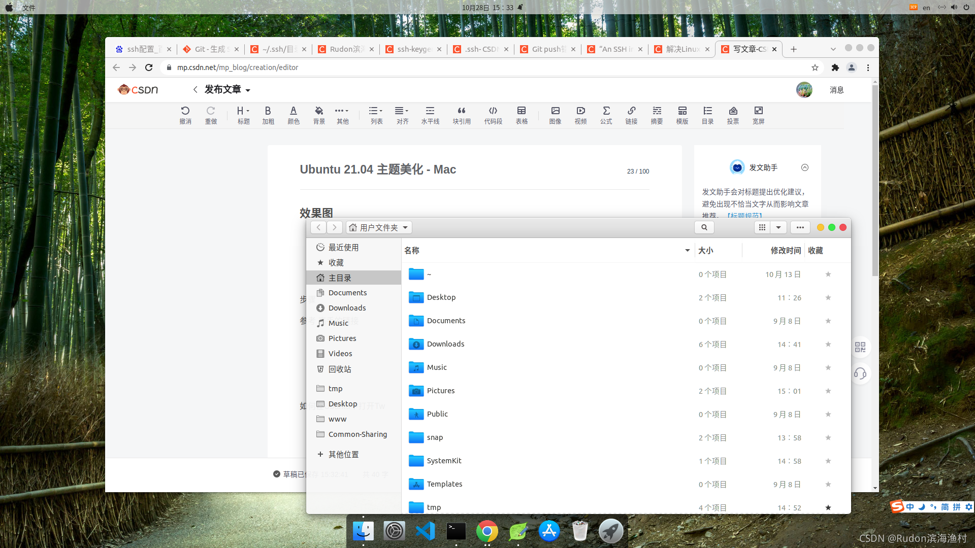 Ubuntu 21.04 主题美化 - Mac_ubuntu mac美化 csdn-CSDN博客