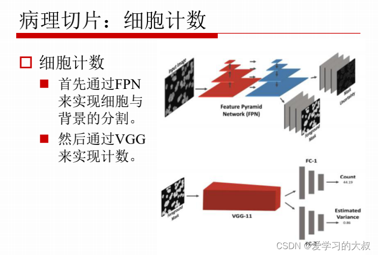 计算机视觉 Computer Vision Chaper12 医疗图像分割