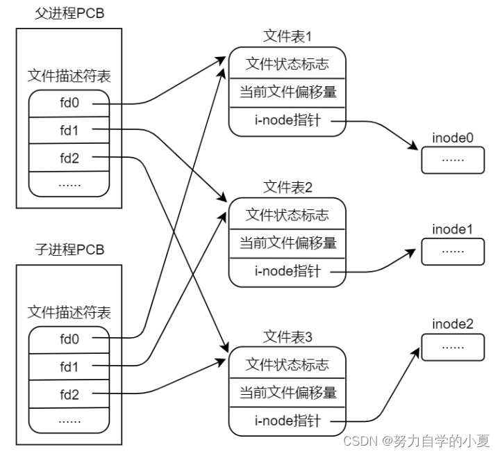 父子进程的文件共享