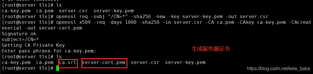 Docker安全配置及Docker-TLS加密