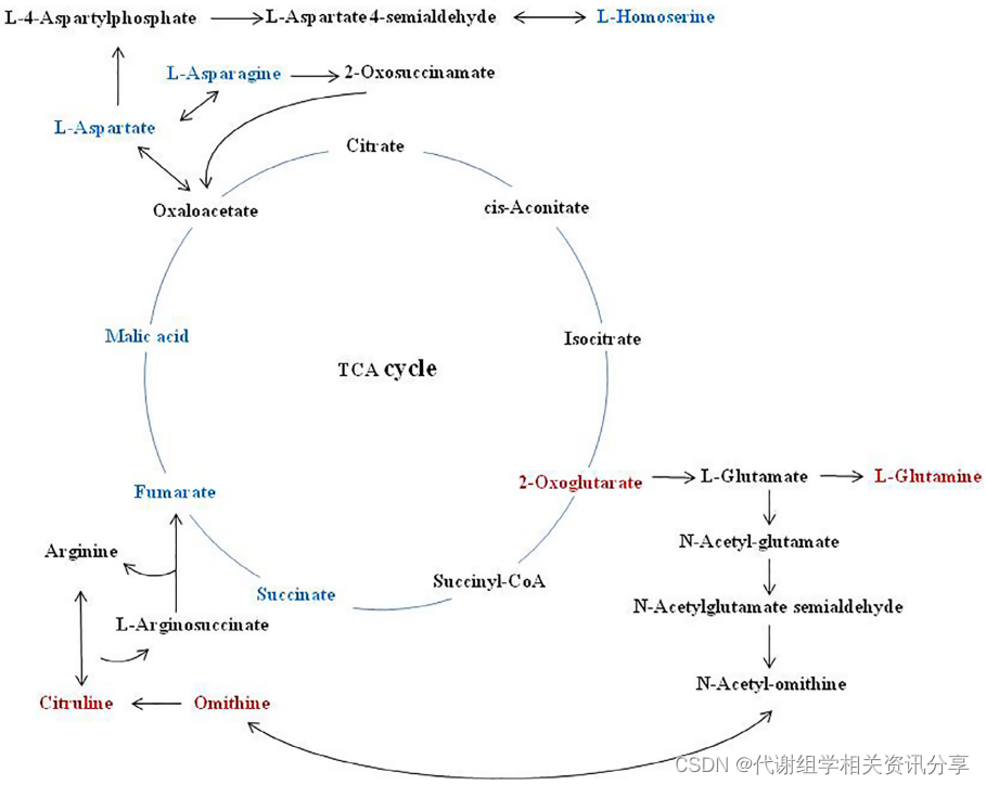 关于两种单菌种发酵的豆瓣酱代谢组学方面差异研究