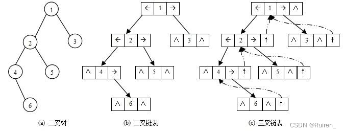 二叉树的概念与结构