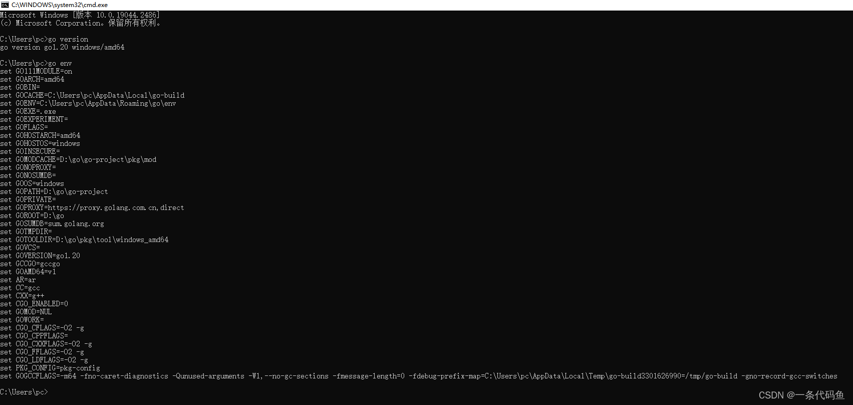 go版本和环境变量
