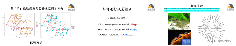 R语言生物群落数据统计分析